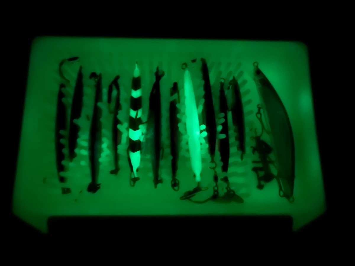 ジャクソンbyセレクテッド剣山のグローカラーの発光を写した写真