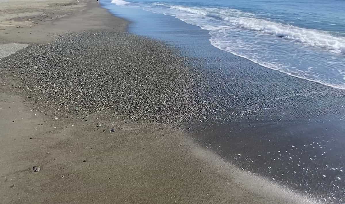 サーフ釣りを探しながら見つけ出したポイントの浜辺には小石が堆積している