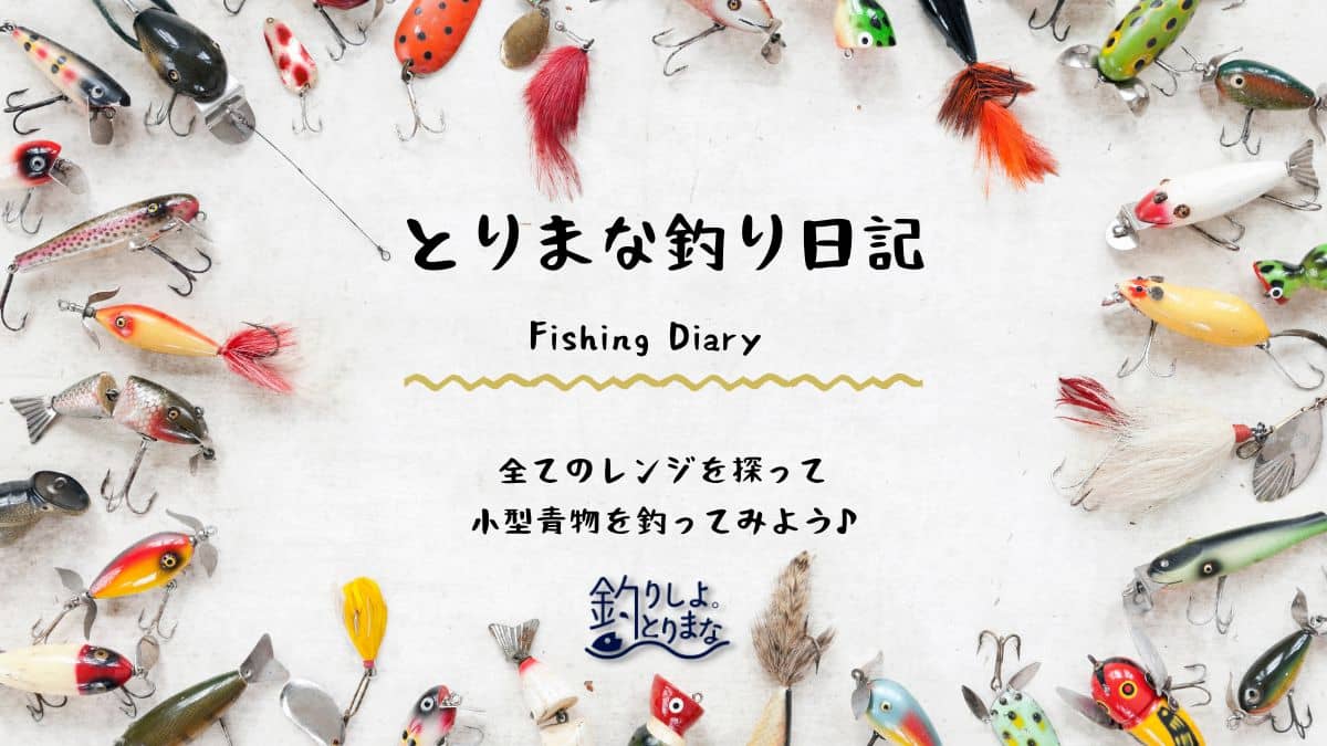 全てのレンジを探って小型青物を釣ってみよう♪