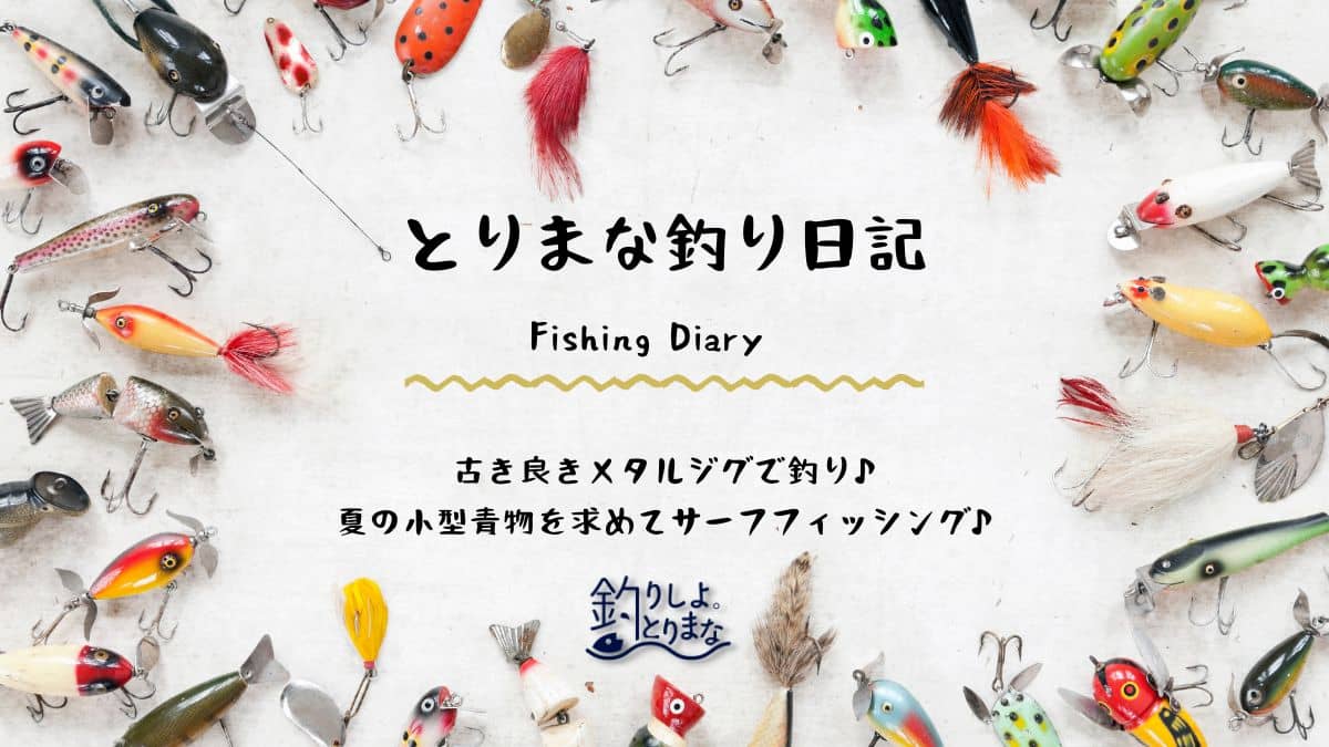 古き良きメタルジグで釣り♪夏の小型青物を求めてサーフフィッシング♪