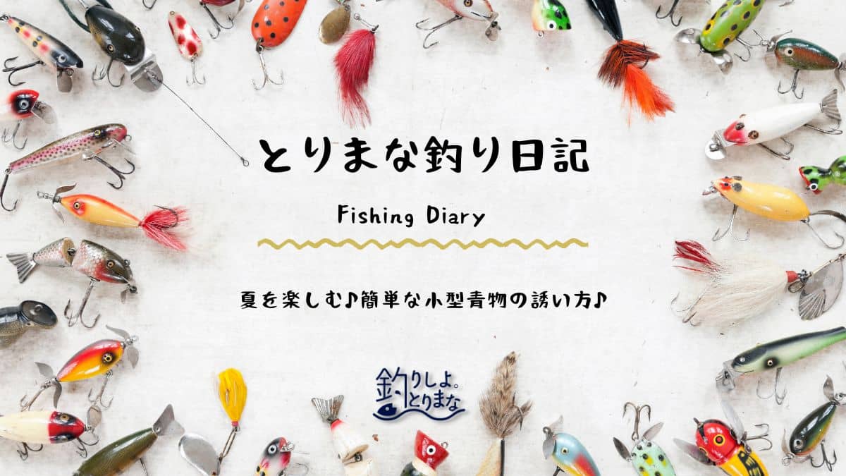 夏を楽しむ♪簡単な小型青物の誘い方♪