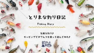 気軽な釣り♪チャビングでカワムツを狙って遊んでみた♪