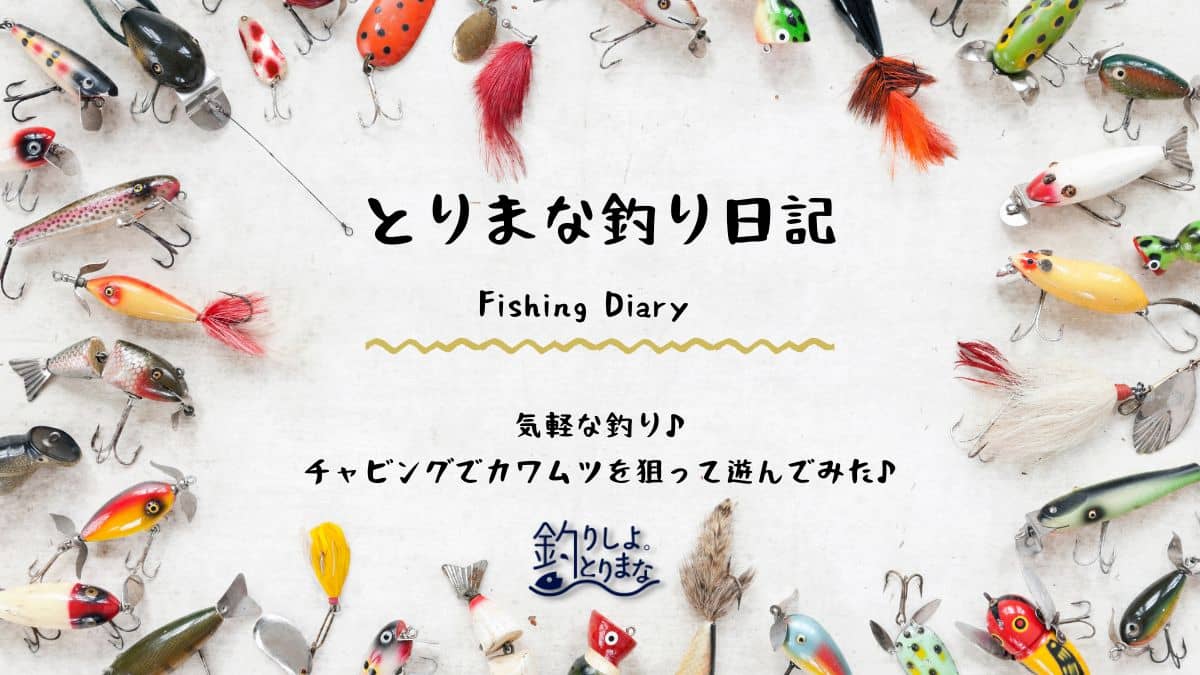 気軽な釣り♪チャビングでカワムツを狙って遊んでみた♪
