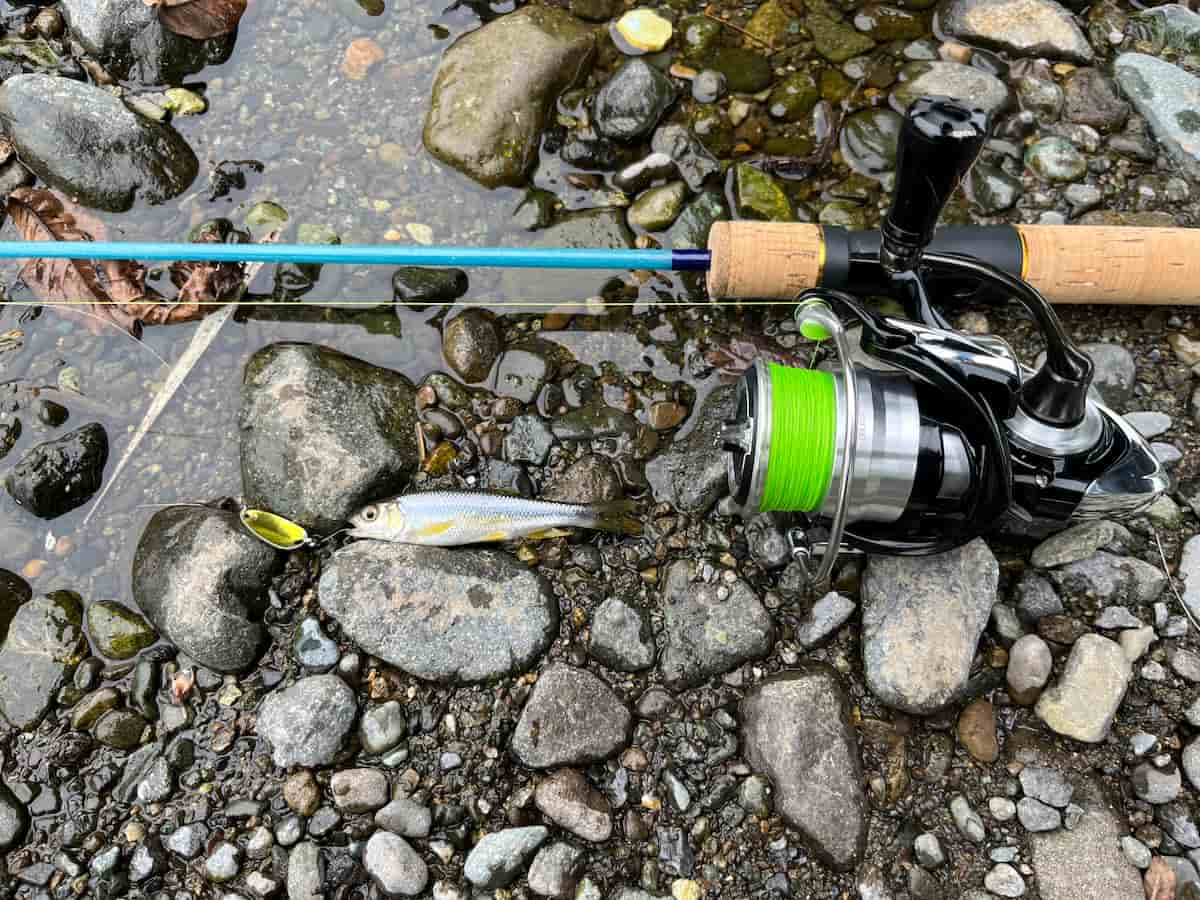 私が使用したタックルの写真