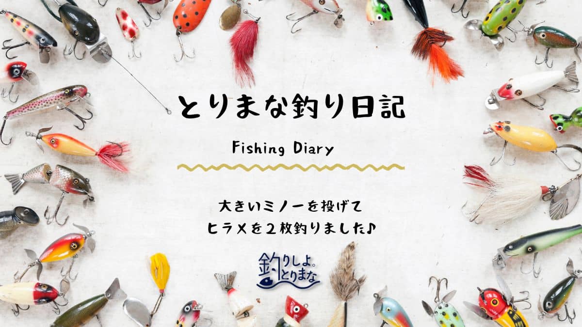 厳寒期のサーフフィッシングで大きいミノーを投げてヒラメを2枚釣りました♪
