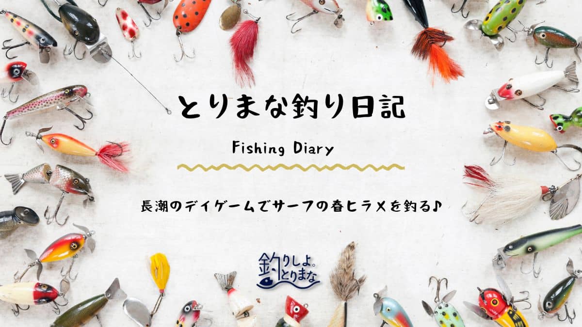 長潮のデイゲームでサーフの春ヒラメを釣る♪デカミノーなら昼間でも食うのかよ⁉︎